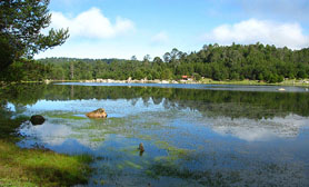 Puentecillas durango