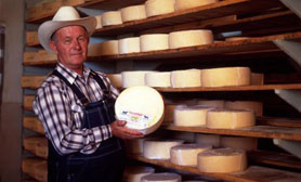 queso chihuahua cheese durango